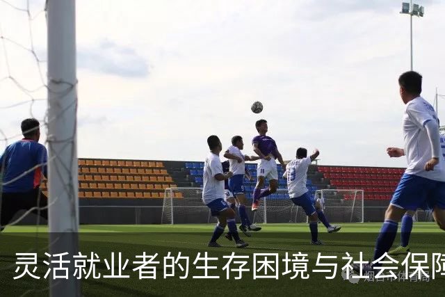灵活就业者的生存困境与社会保障的缺失